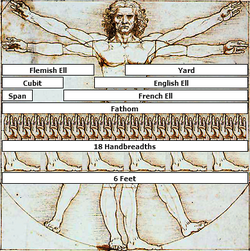 Body Measurements